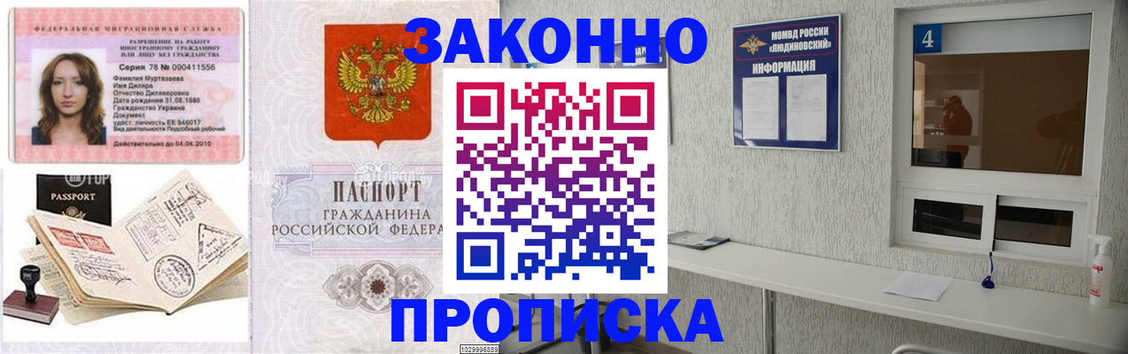 прописка в квартире в Апатитах